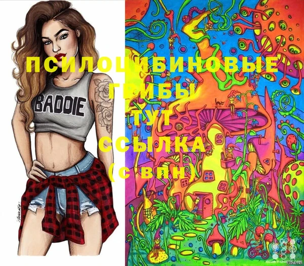 гашик Абинск